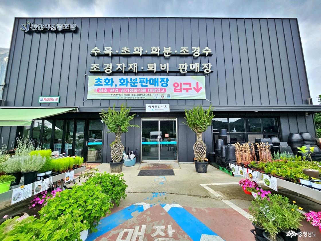 천안시 산림조합