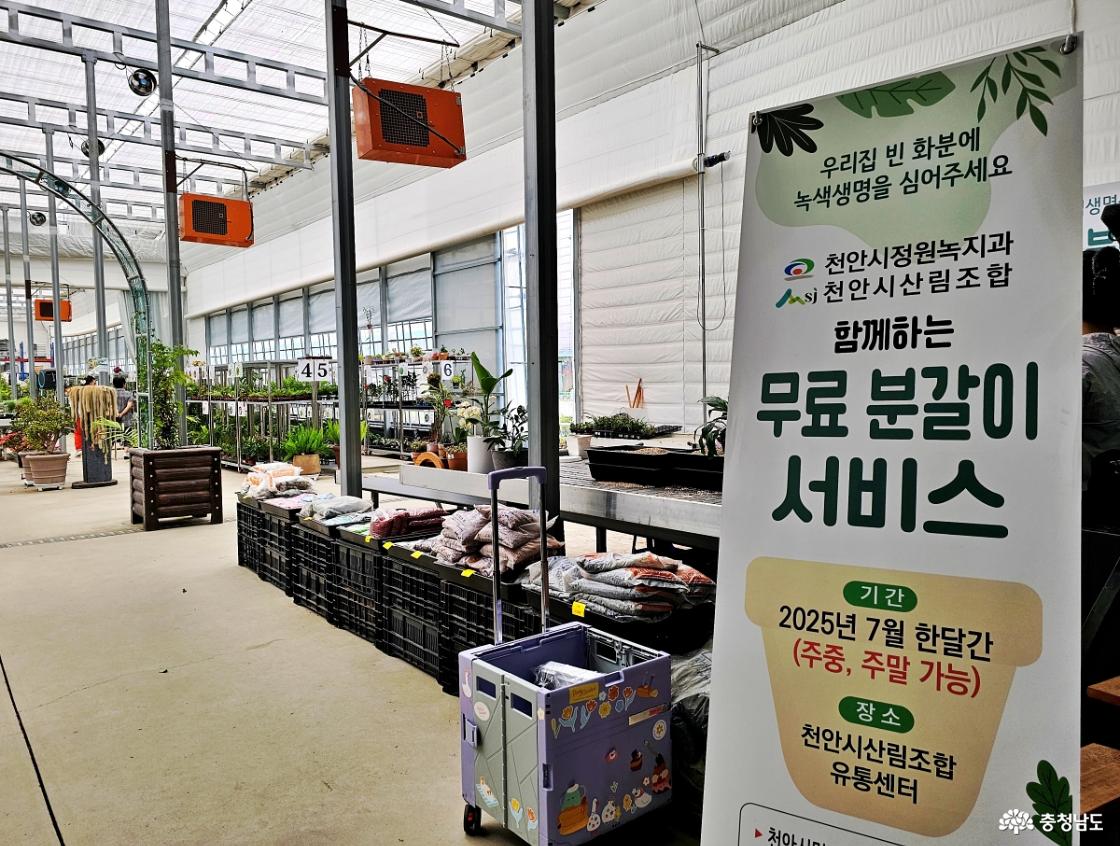 분갈이 서비스 하는 장소