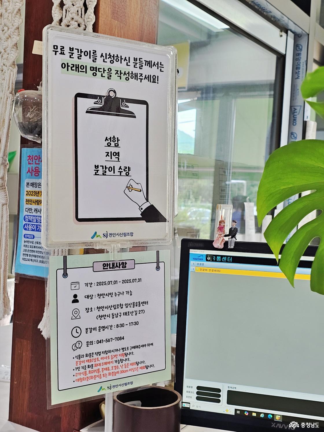 분갈이 서비스 신청하는 곳