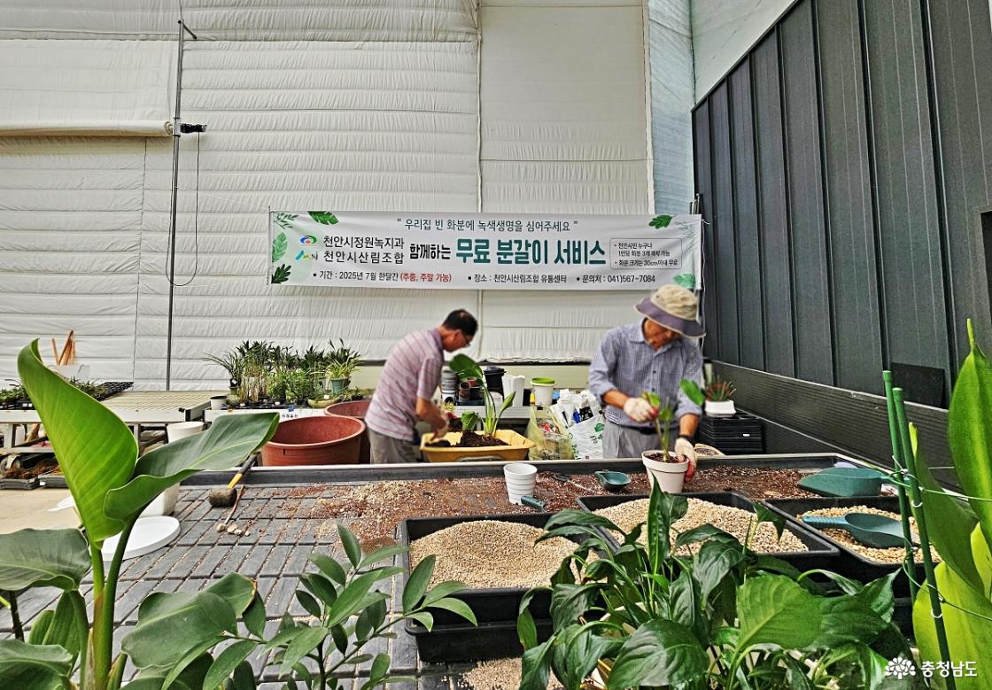 분갈이 서비스 하고 계신 모습
