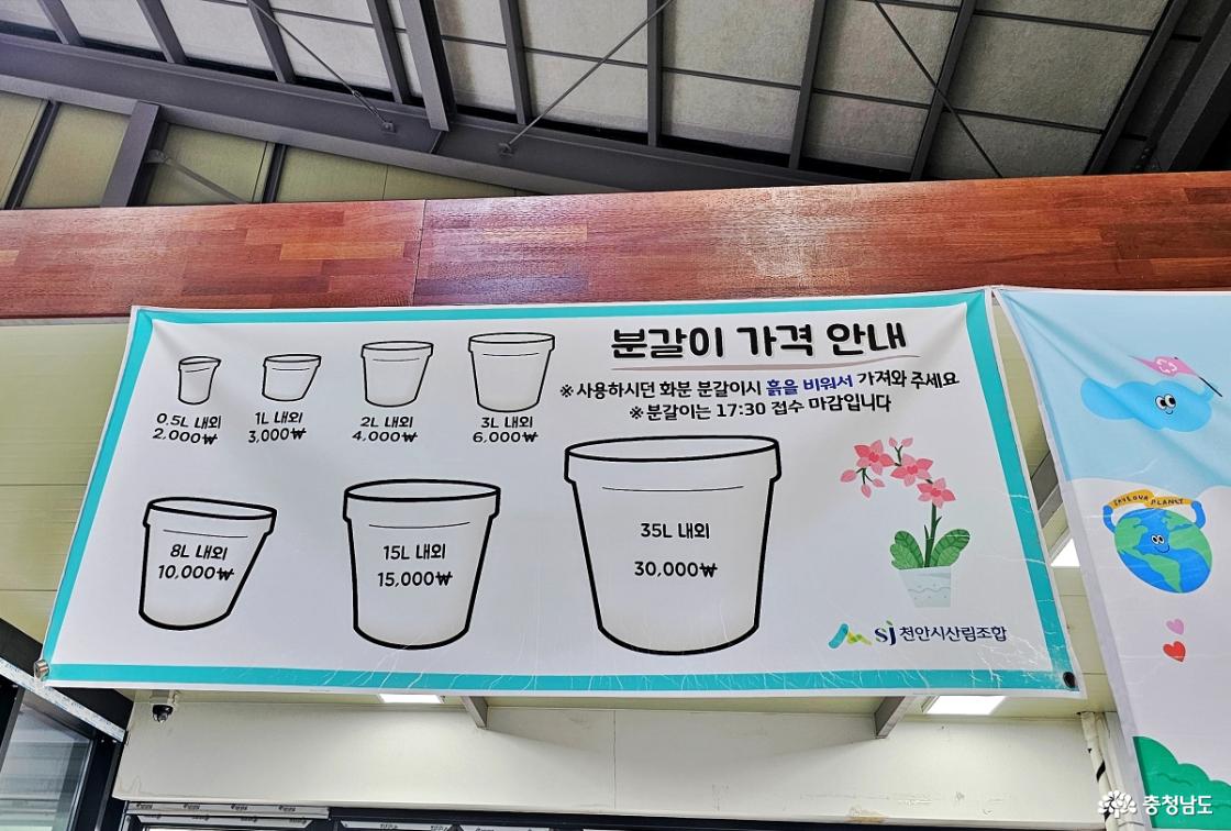 분갈이 가격표