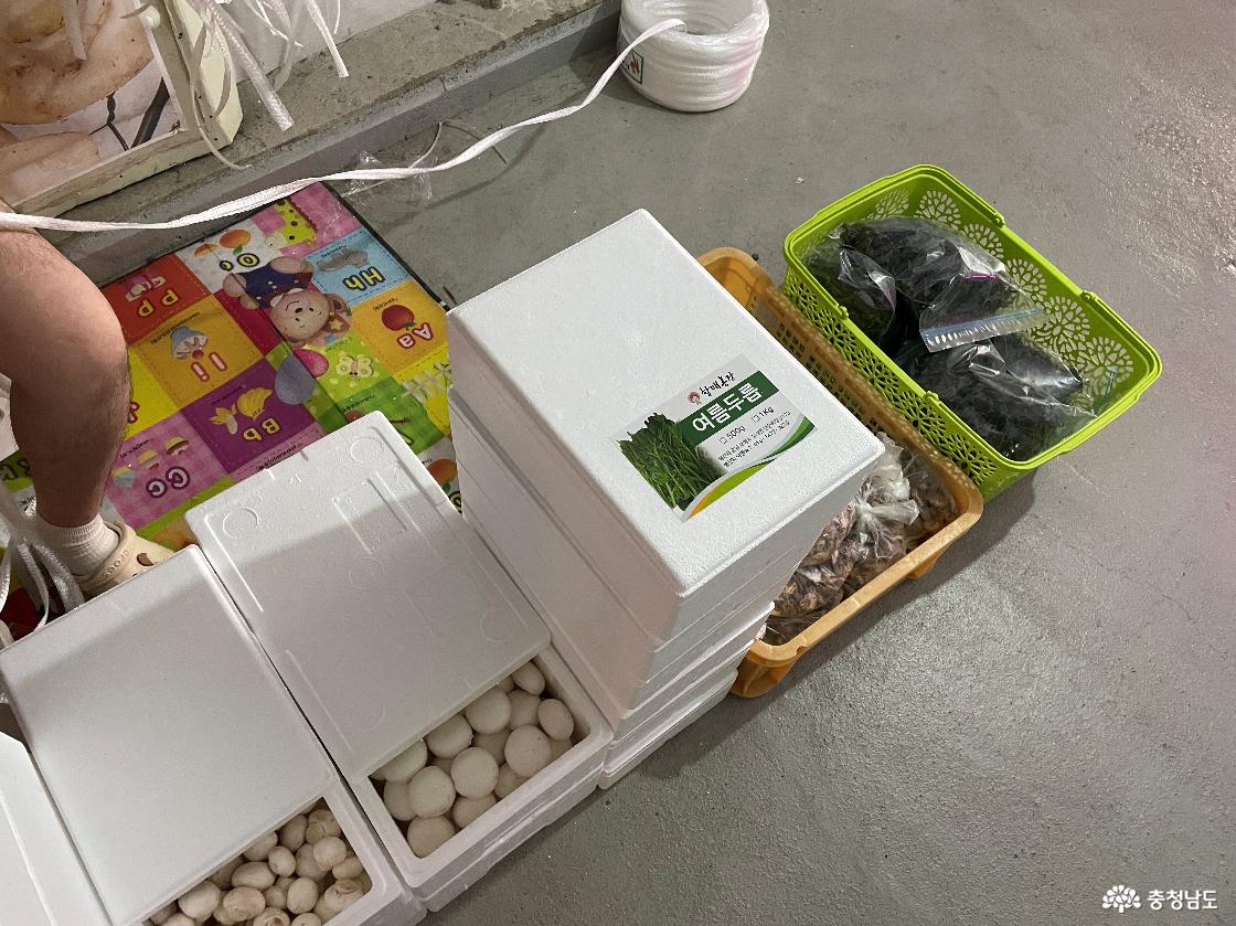 보령냉풍욕장 판매농산물