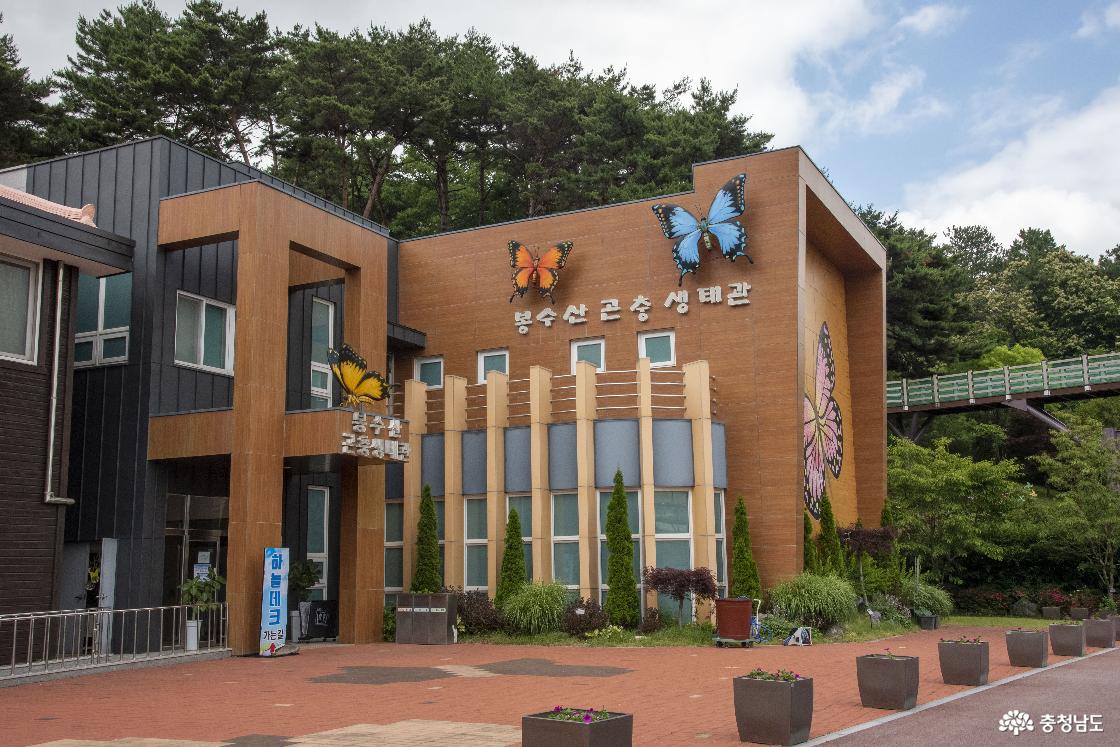 푸른 숲길 따라 걷는 봉수산 수목원, 가족 나들이 명소