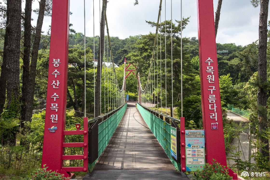 수목원 입구 출렁다리