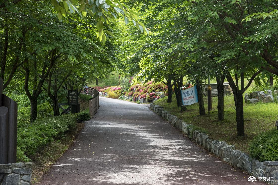 곤충생태관으로 올라가는 오르막길