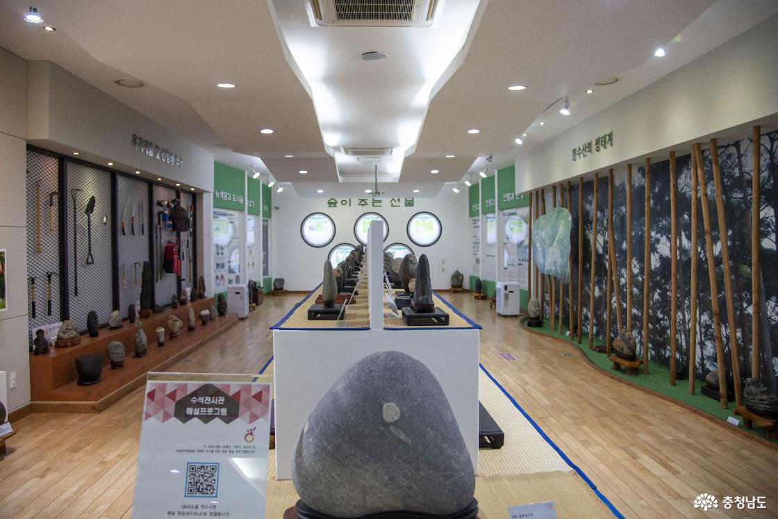 수석전시관 전경 모습