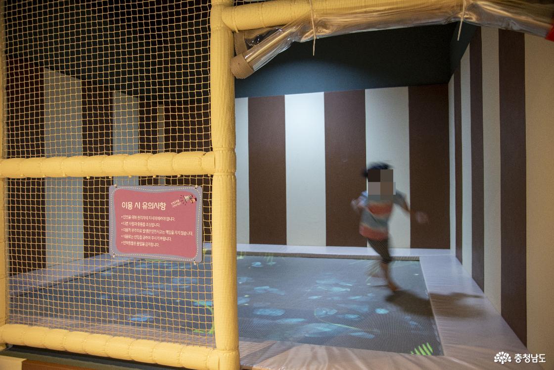 곤충생태관 2층 모습