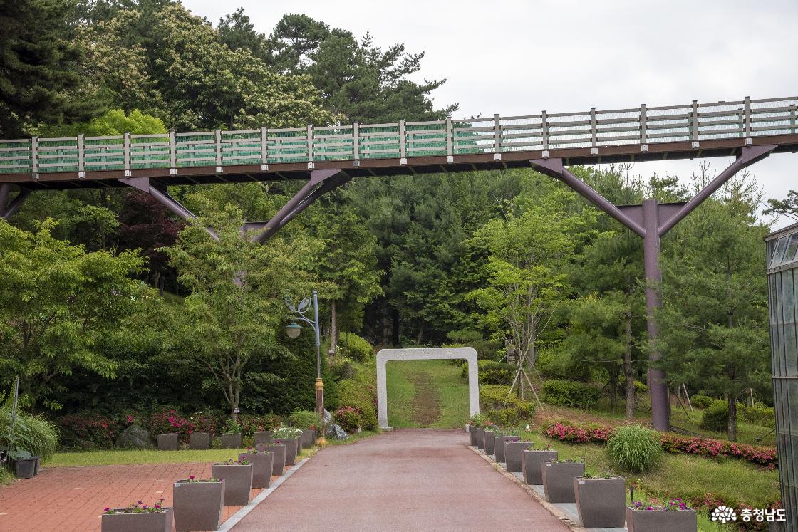 밑에서 바라본 하늘데크 전경