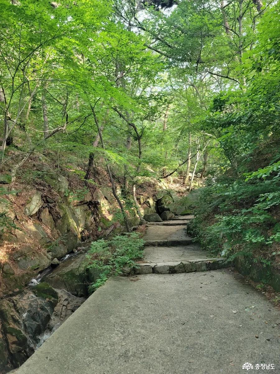 덕숭산