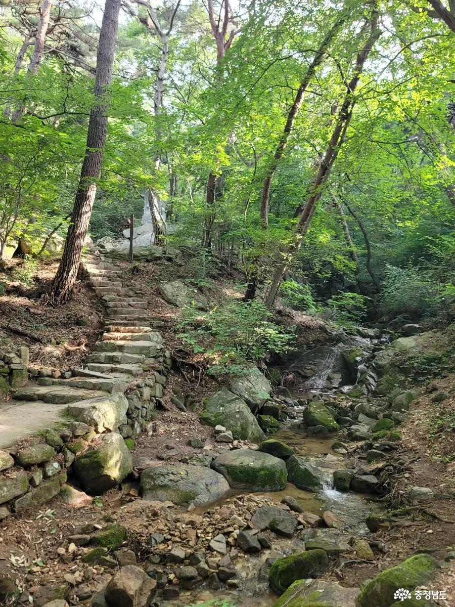 덕숭산