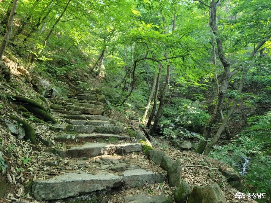 덕숭산
