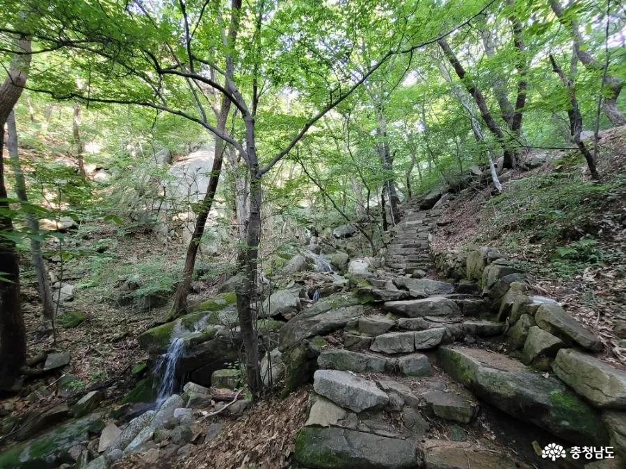 덕숭산