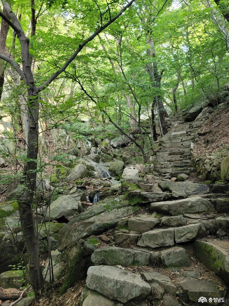 덕숭산
