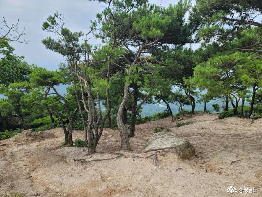 덕숭산