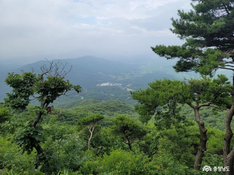 덕숭산