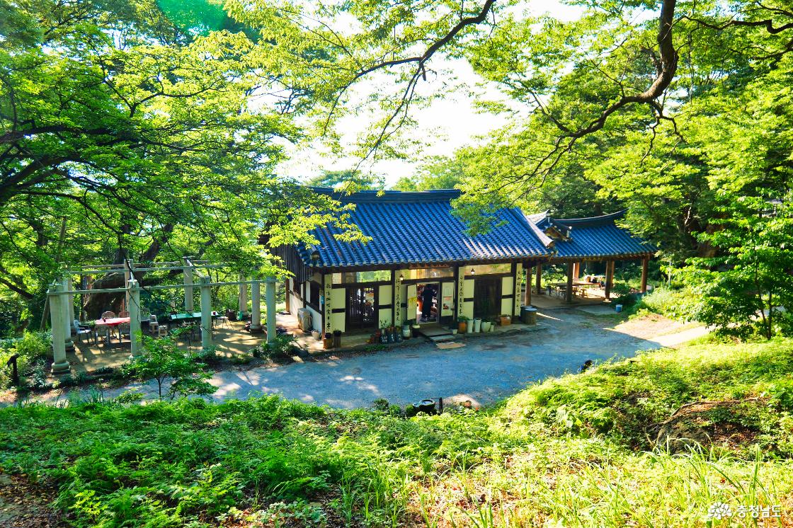 푸른 숲이 둘러싼 사찰