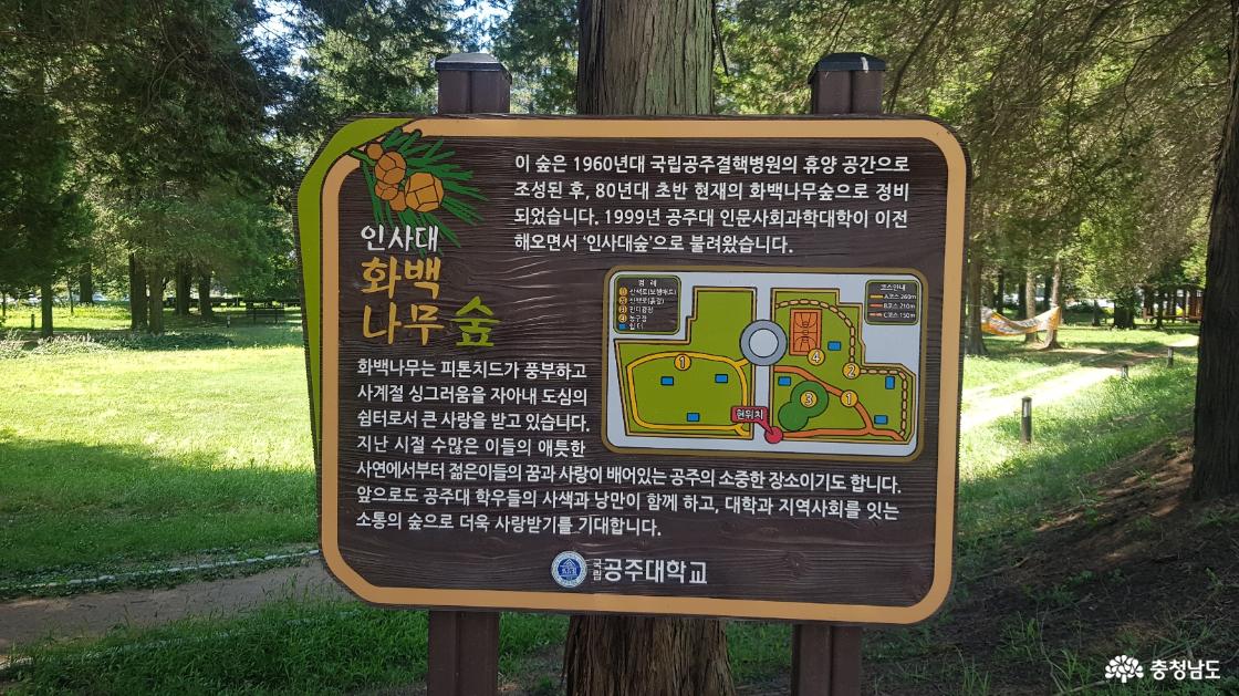 숲과 쉼이 공존하는 캠퍼스, “공주대학교 신관캠퍼스 인사대 화백나무숲 산책길”