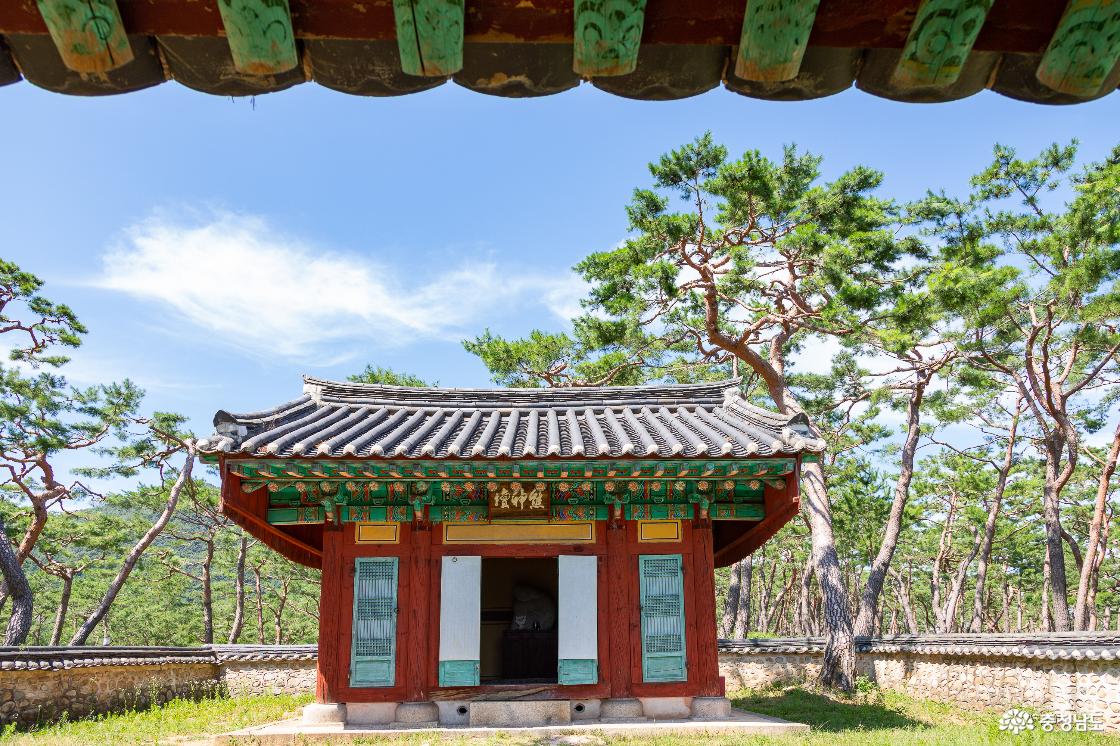 웅신단