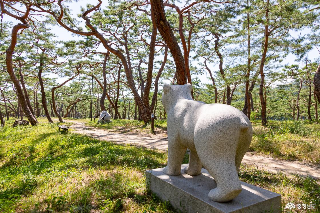솔숲과 곰 조각상
