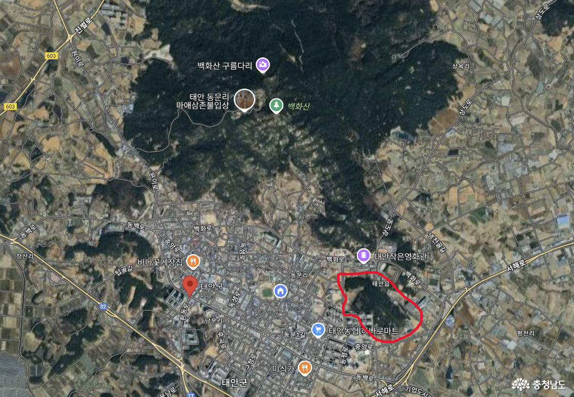 충남 태안 백화산 자락