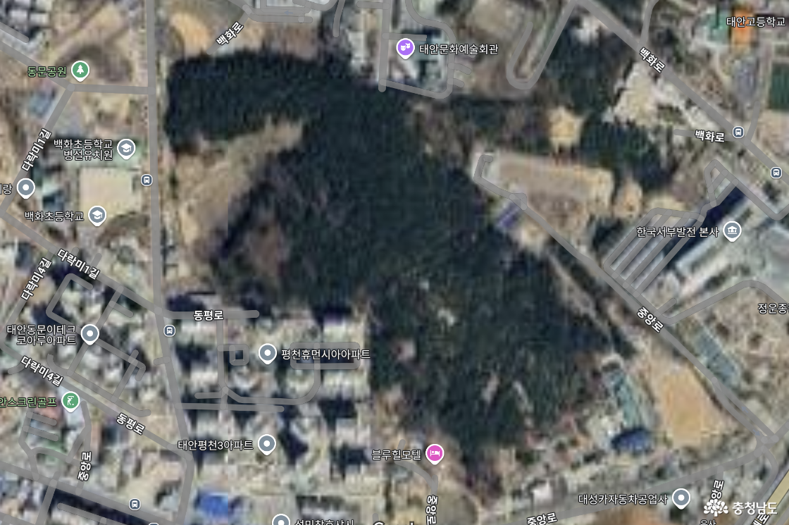충남 태안 백화산 자락