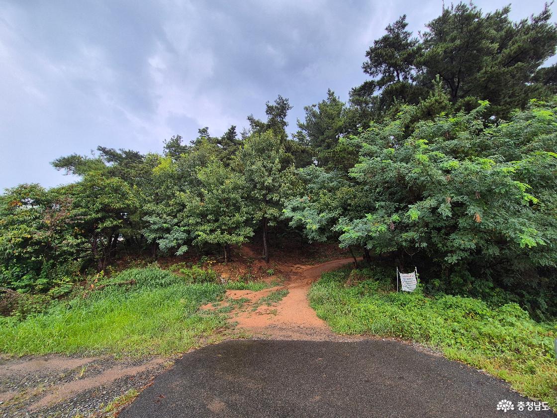 태안 백화산 자락 작은 산