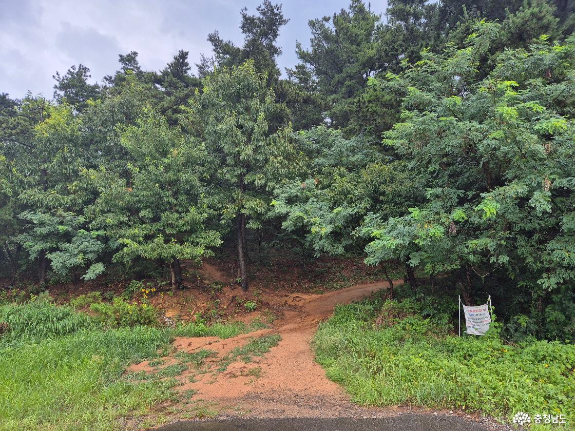 태안 백화산 자락 작은 산