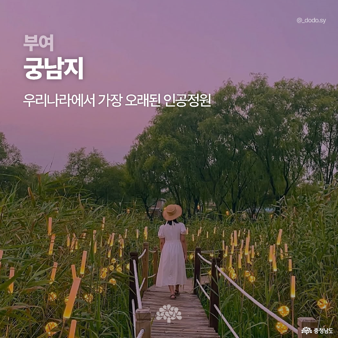 부여 궁남지의 나무 데크 위를 흰 드레스를 입은 여성이 걷고 있으며, 보랏빛 하늘 아래 갈대와 조명이 낭만적인 분위기를 자아냅니다. 사방이 자연으로 둘러싸인 고요한 공간입니다. ‘우리나라에서 가장 오래된 인공정원’이라는 설명이 포함되어 있습니다.
