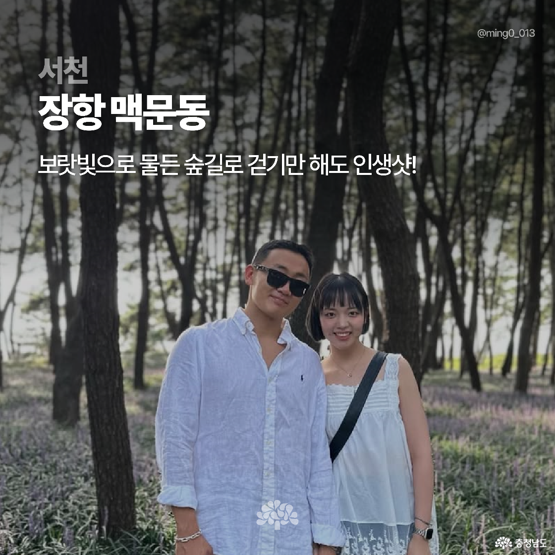 서천 장항 맥문동 숲길에서 한 커플이 보랏빛 꽃 사이를 배경으로 사진을 찍고 있습니다. 빽빽한 나무들과 함께 햇살이 스며드는 숲길이 인상적입니다. ‘보랏빛으로 물든 숲길로 걷기만 해도 인생샷’이라는 문구가 있습니다.