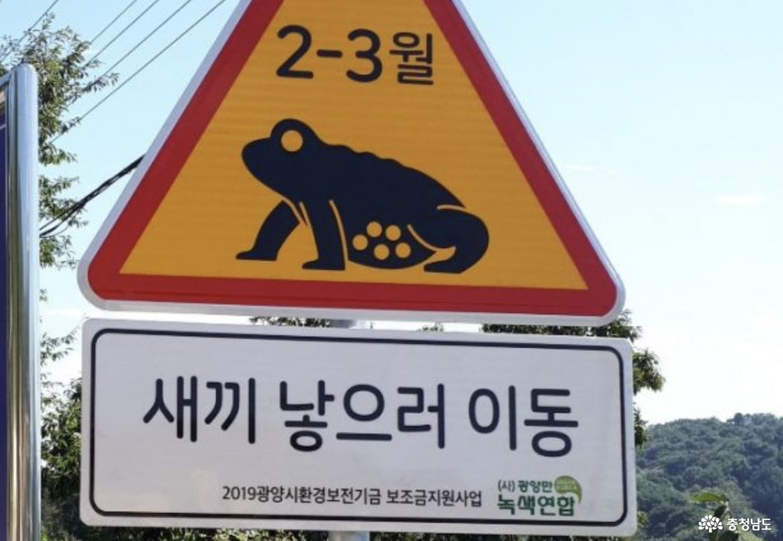 백화산 자락 작은 뒷산 두꺼비