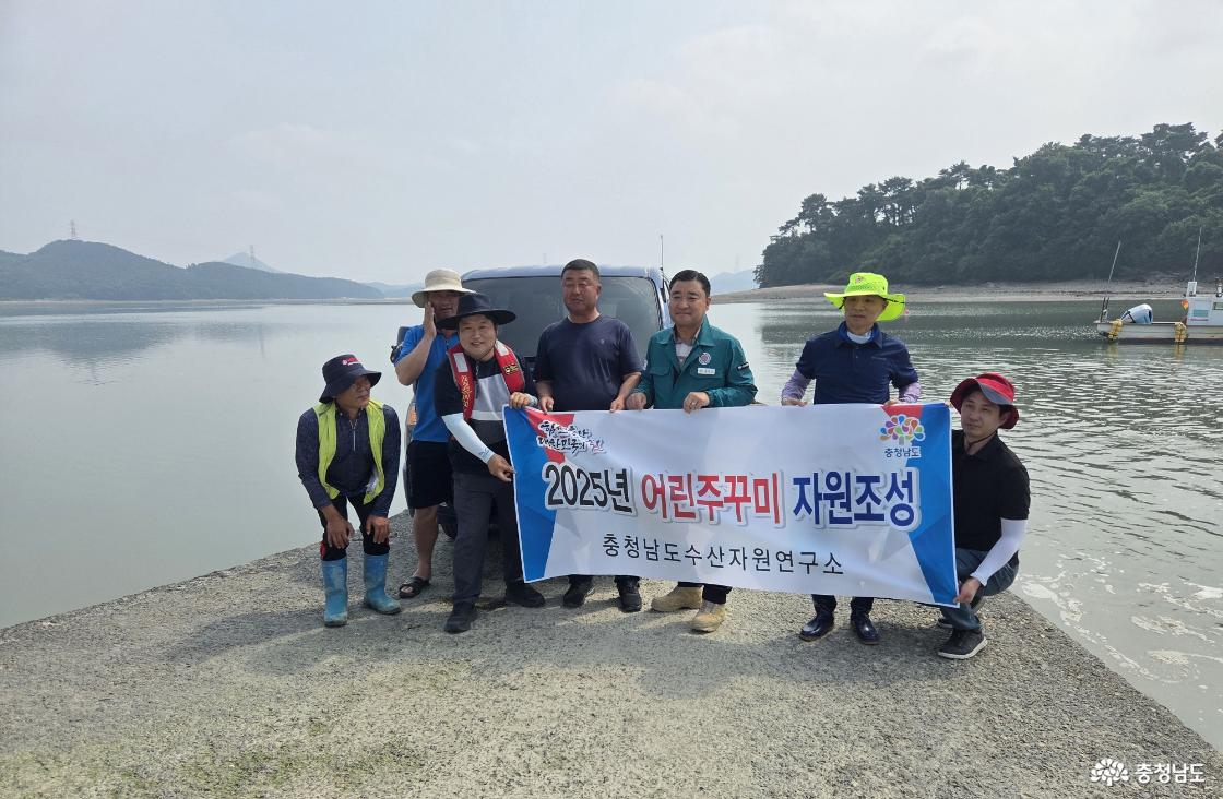 고소득 수산자원 주꾸미 44만 마리 방류