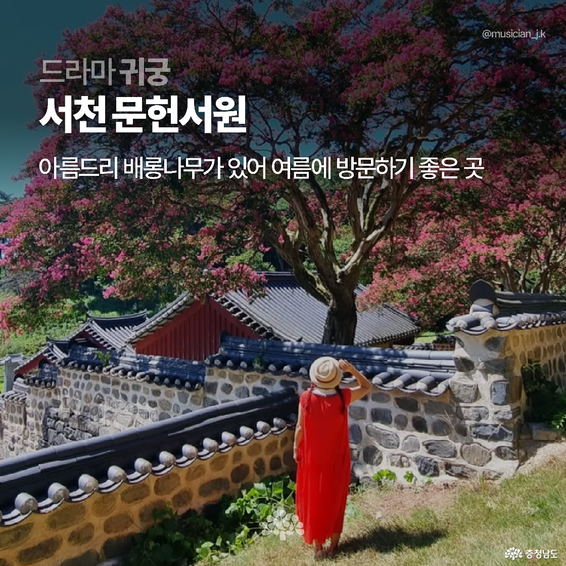 서천 문헌서원의 전통 담장과 분홍 배롱나무 아래 빨간 옷을 입은 여성이 서 있는 장면입니다. 여름철 고즈넉한 분위기를 자아내는 대표적 드라마 ‘귀궁’ 촬영지입니다.