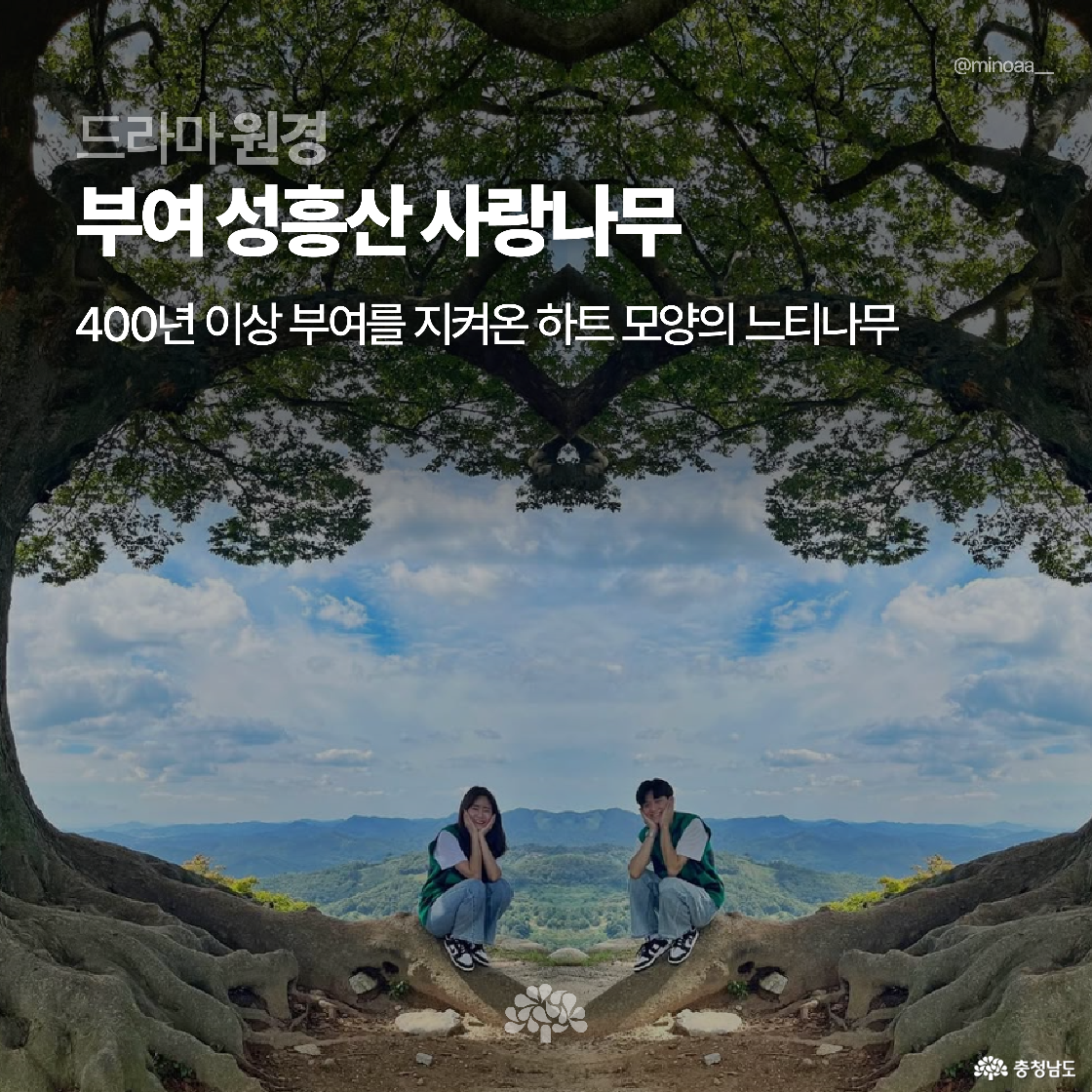 부여 성흥산 사랑나무 아래에서 두 사람이 나란히 앉아 포즈를 취하고 있습니다. 하트 모양의 거대한 느티나무가 시선을 사로잡는 드라마 ‘원경’ 배경지입니다.