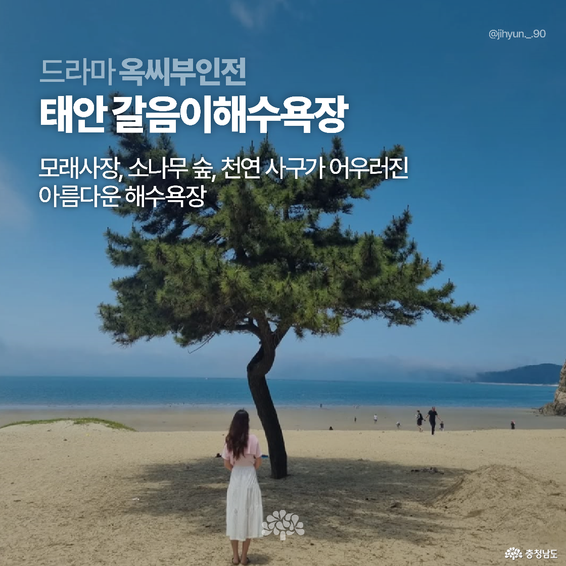 한 여성이 소나무 아래에서 바다를 바라보며 서 있는 장면입니다. 태안 갈음이해수욕장의 한적한 풍경으로, 드라마 ‘옥씨부인전’ 촬영지로 사용된 장소입니다.
