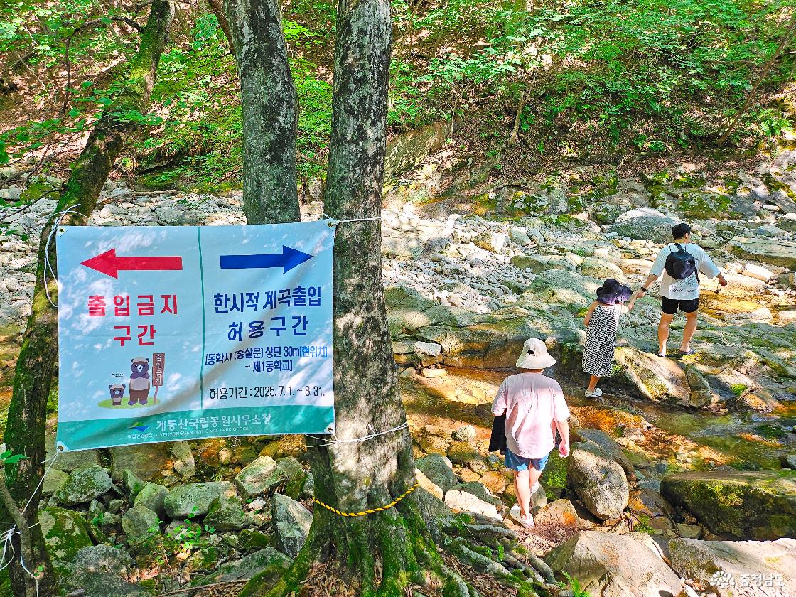 한시적 출입 허용 시작지점 안내문