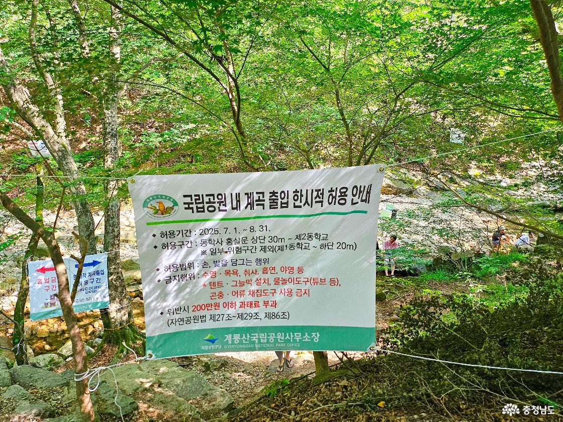 국립공원 내 계곡 출입 한시적 허용 안내문