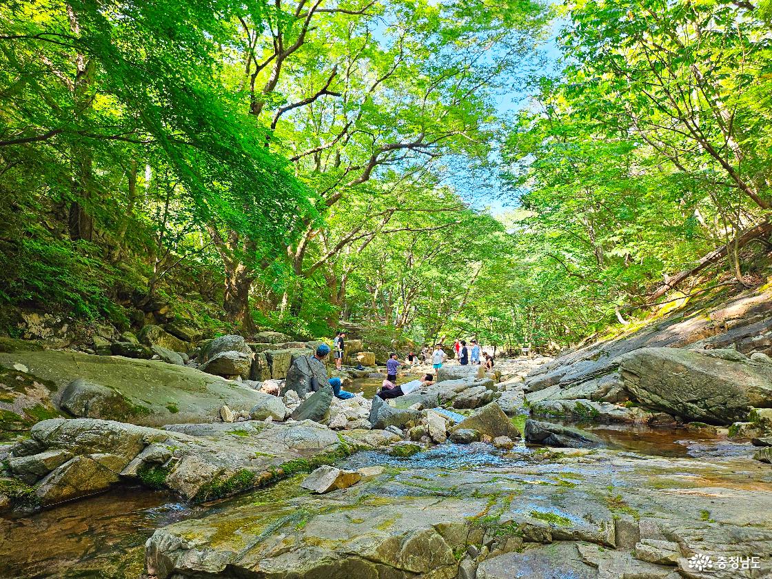 동학사 계곡 전경
