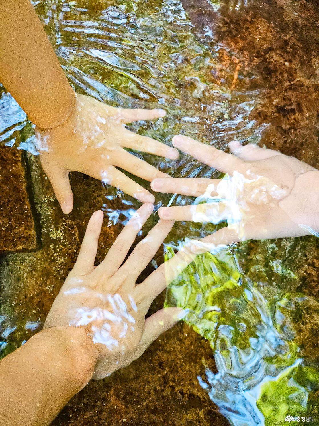 맑은 동학사 계곡물