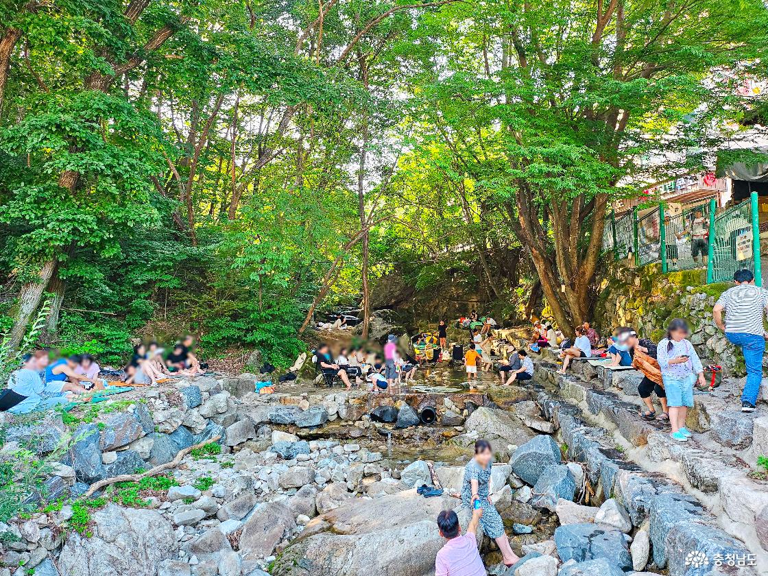 동학식당 앞 발담그는곳