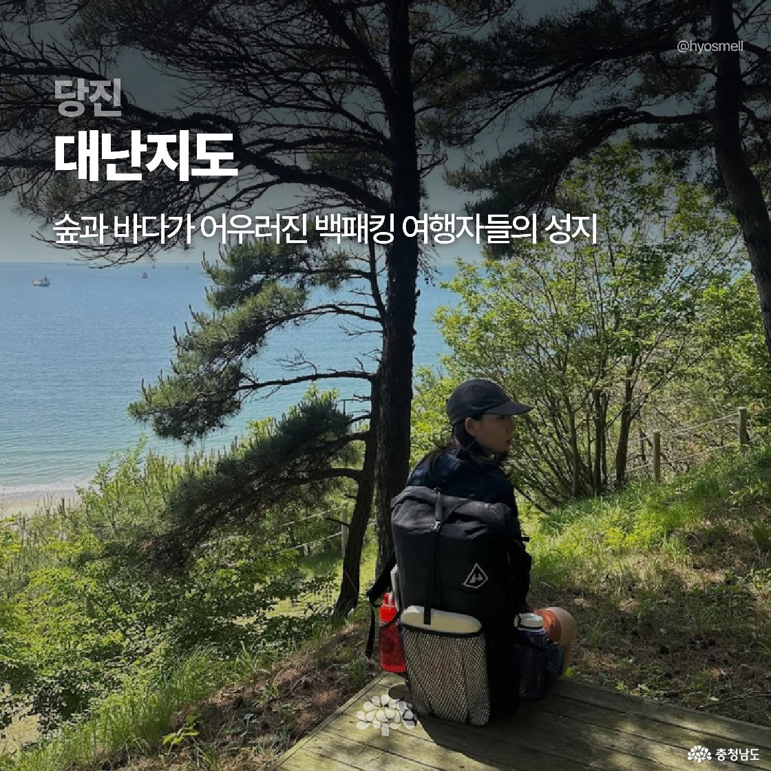 울창한 숲과 바다가 함께 보이는 당진 대난지도에서 검정색 모자를 쓰고 백팩을 멘 여성이 앉아 쉬고 있습니다. 푸른 바다와 하늘, 나무 그늘이 어우러져 백패킹 여행지의 매력을 강조합니다.