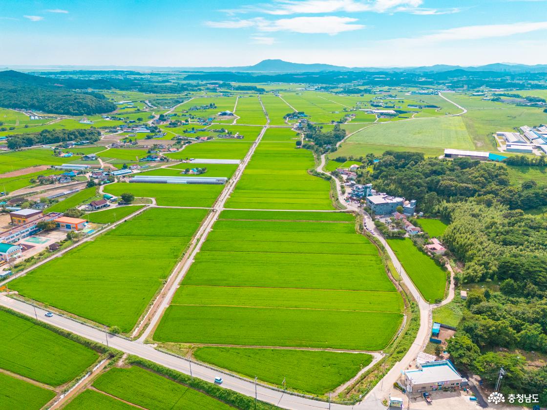 서산 여름여행 추천 한우목장,개심사, 문수사