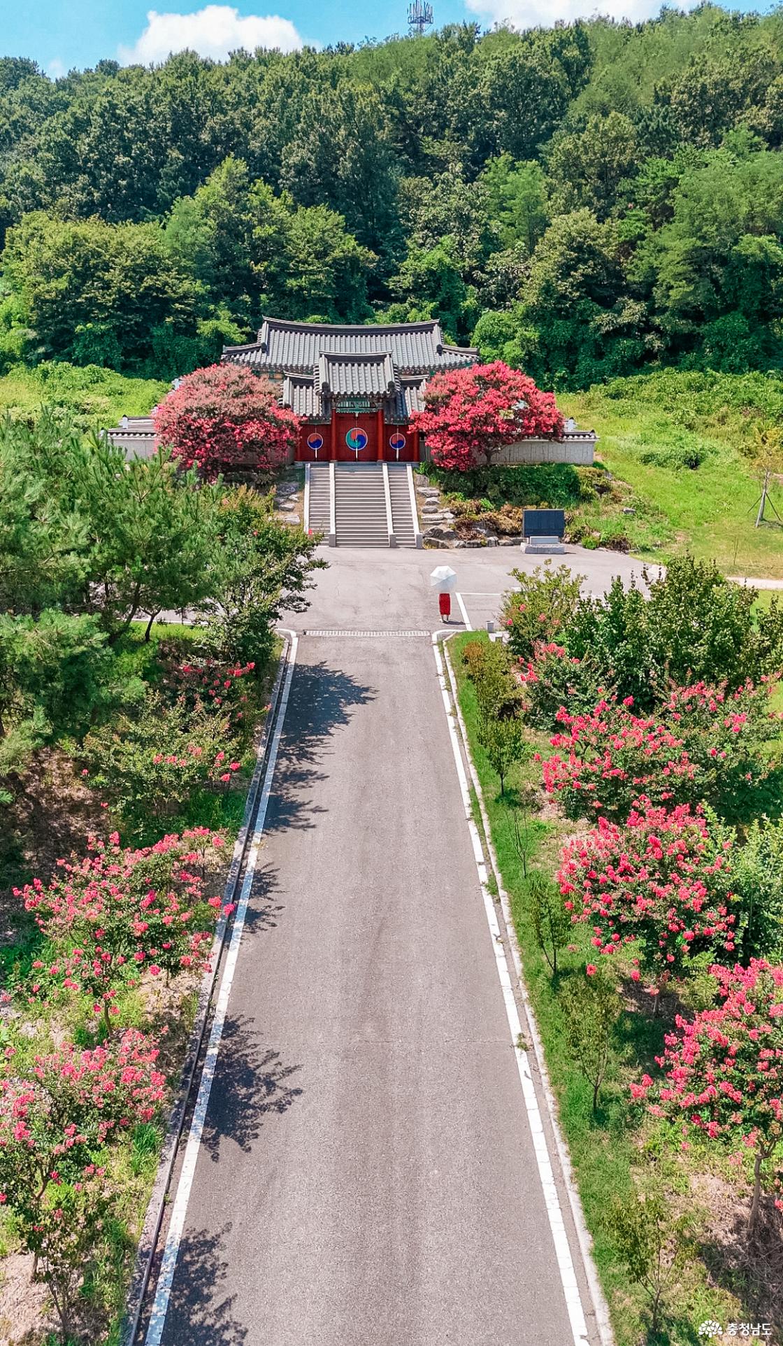 아산시 모선사 배경 풍경 사진