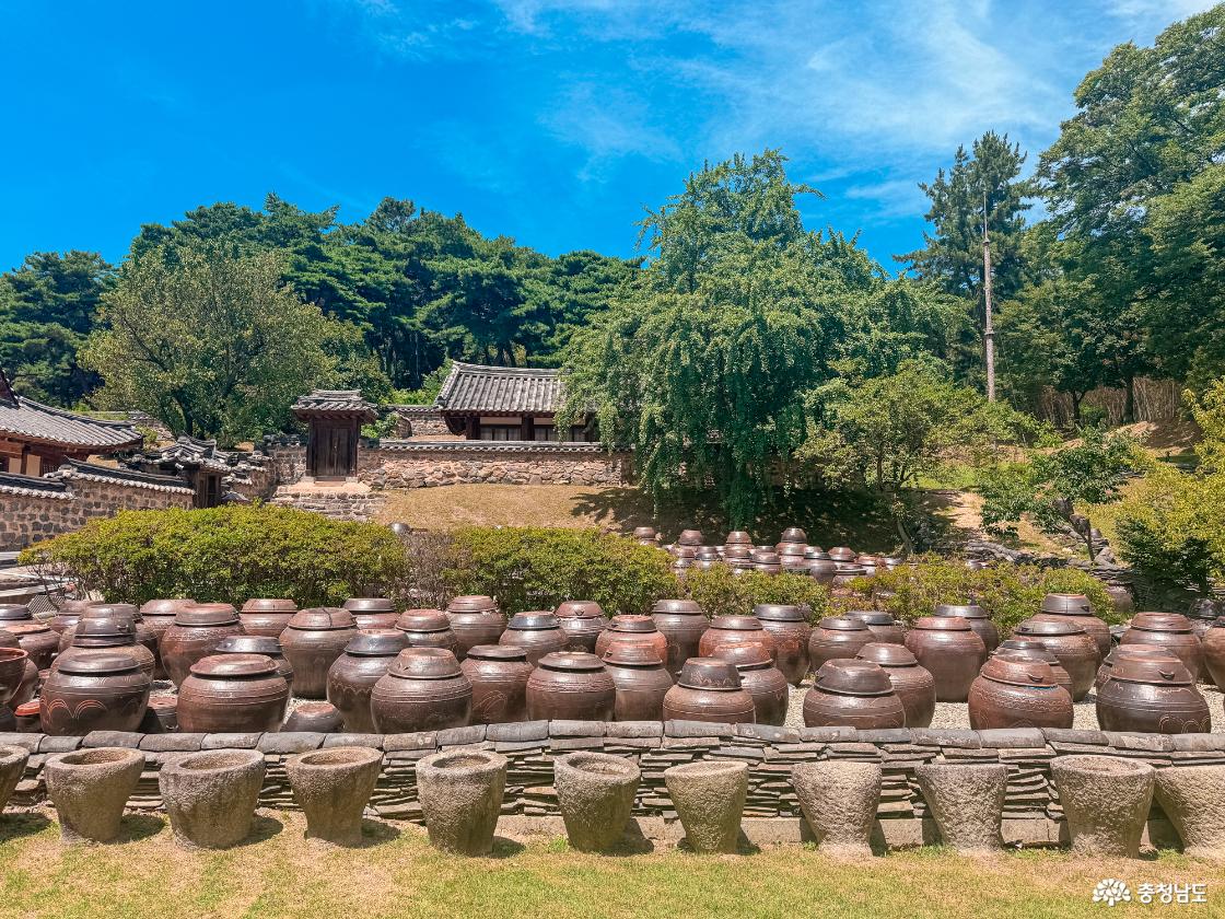 논산 명재고택 뒷뜰 항아리 사진