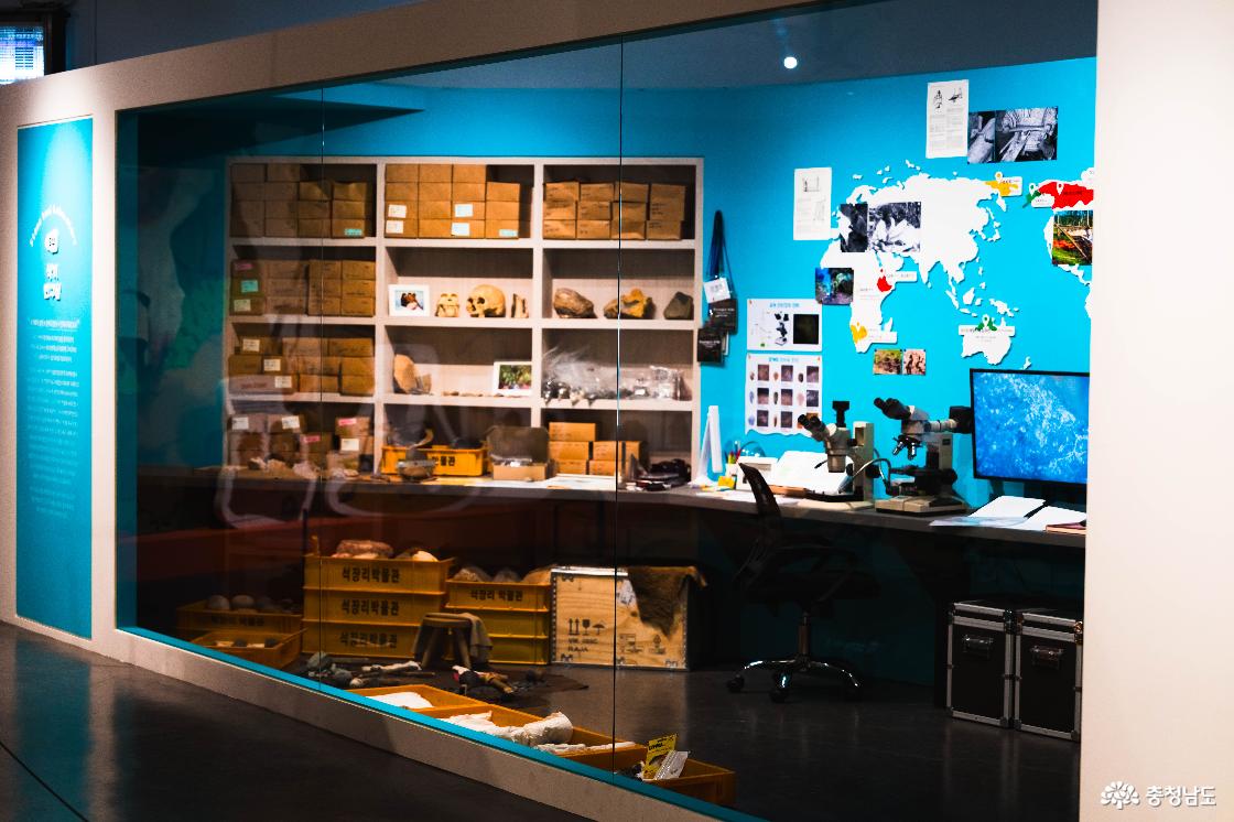 파른 손보기 선생 기념관