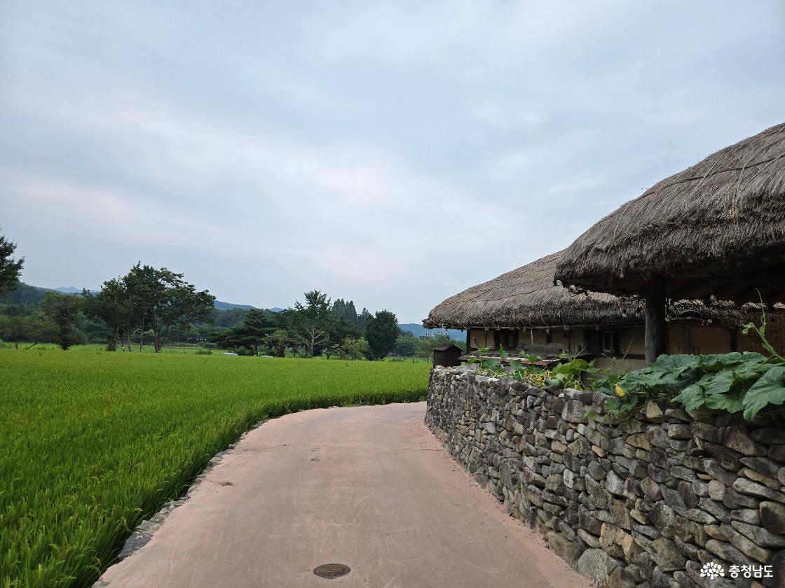 논밭 옆 돌담길