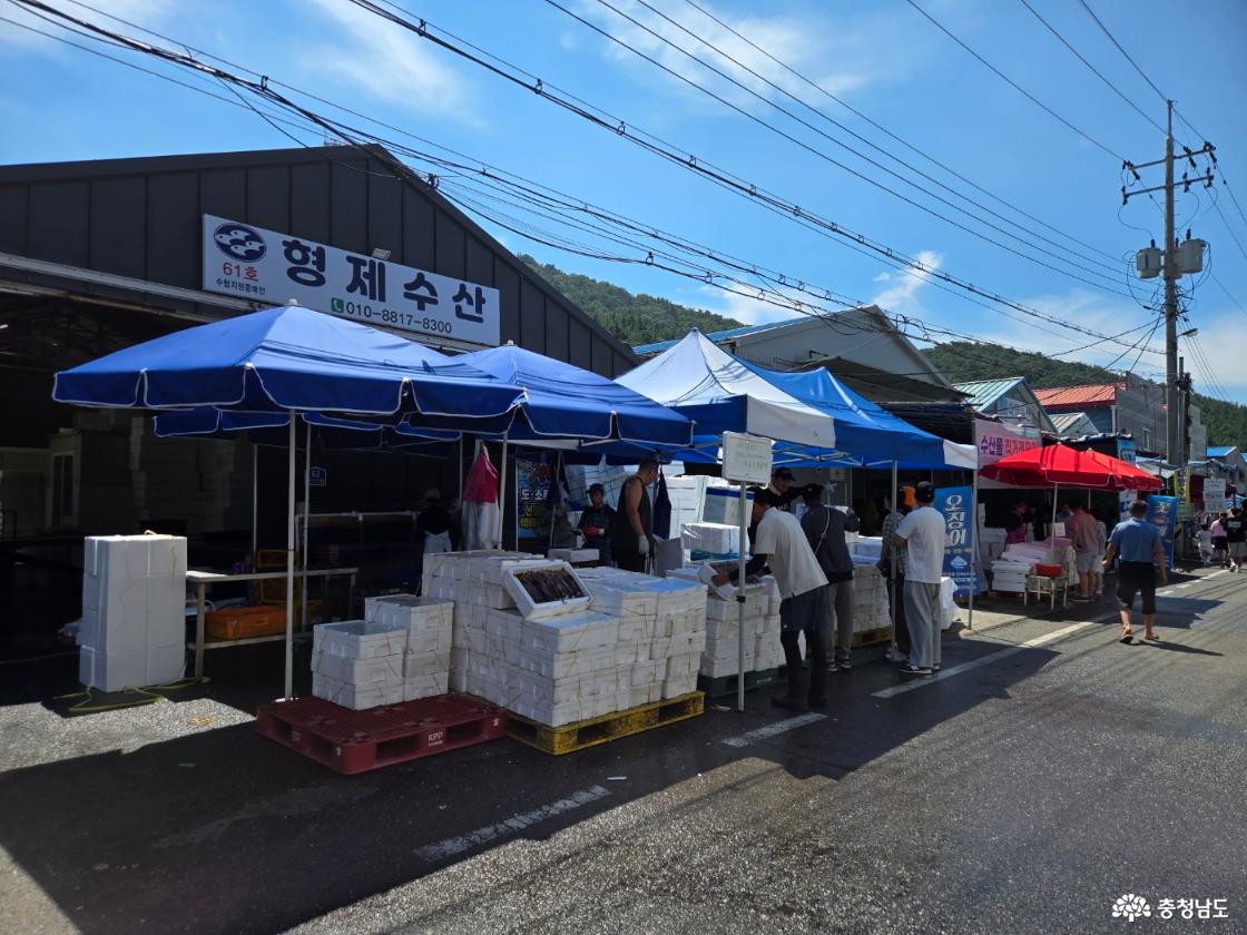 오징어를 판매하고 있다