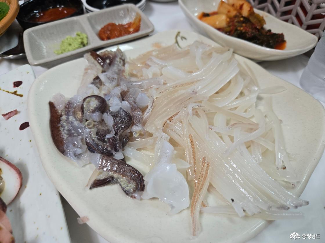 오징어 회