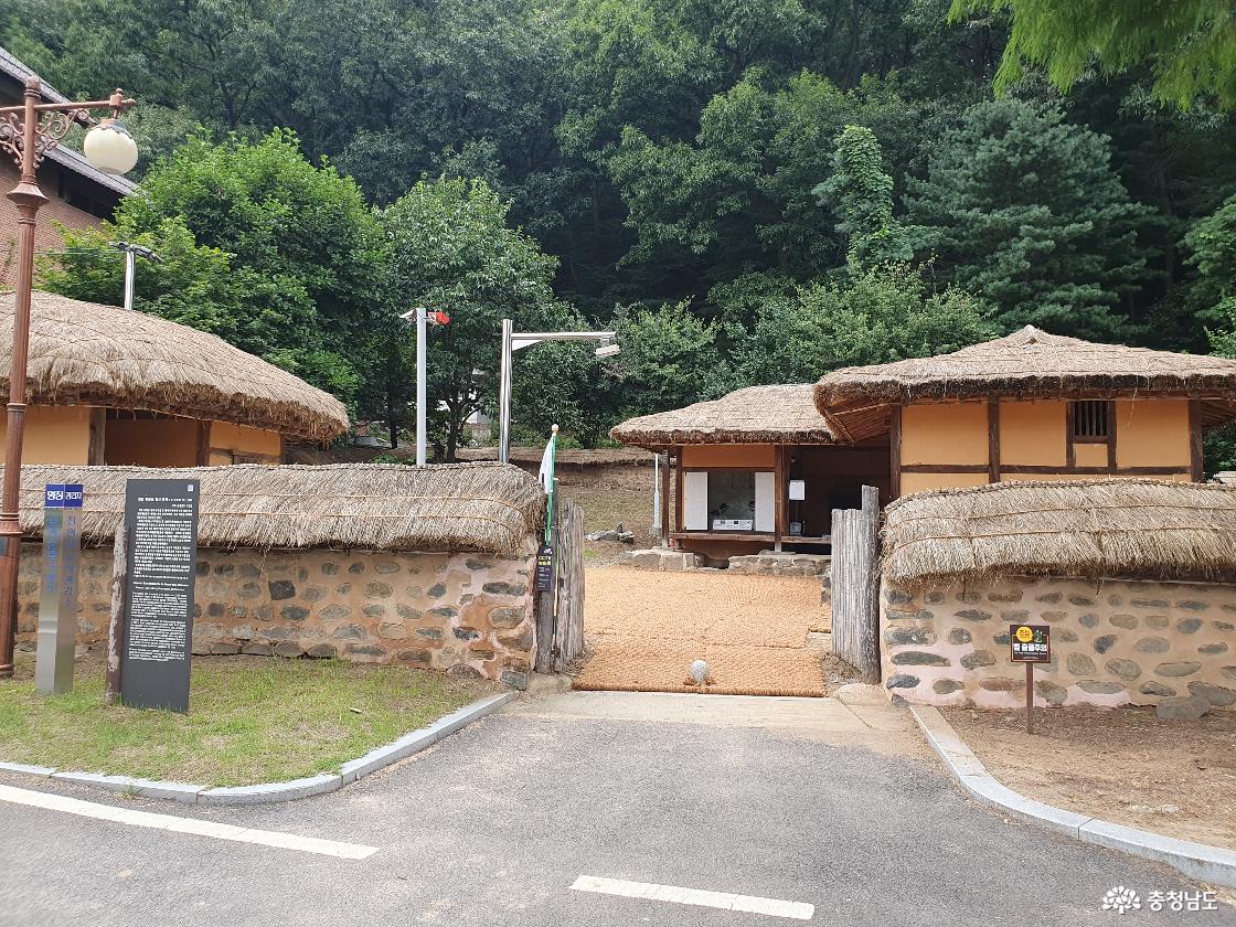 생가지