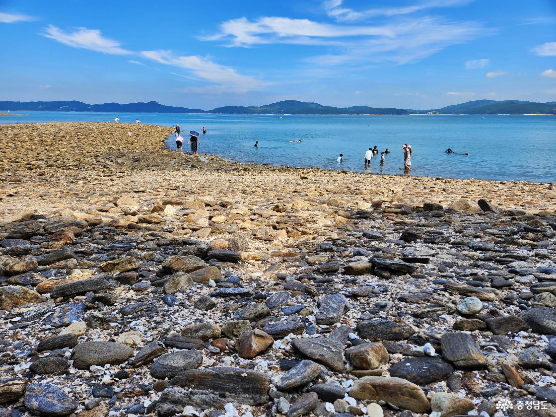 민어도 해변 바닥