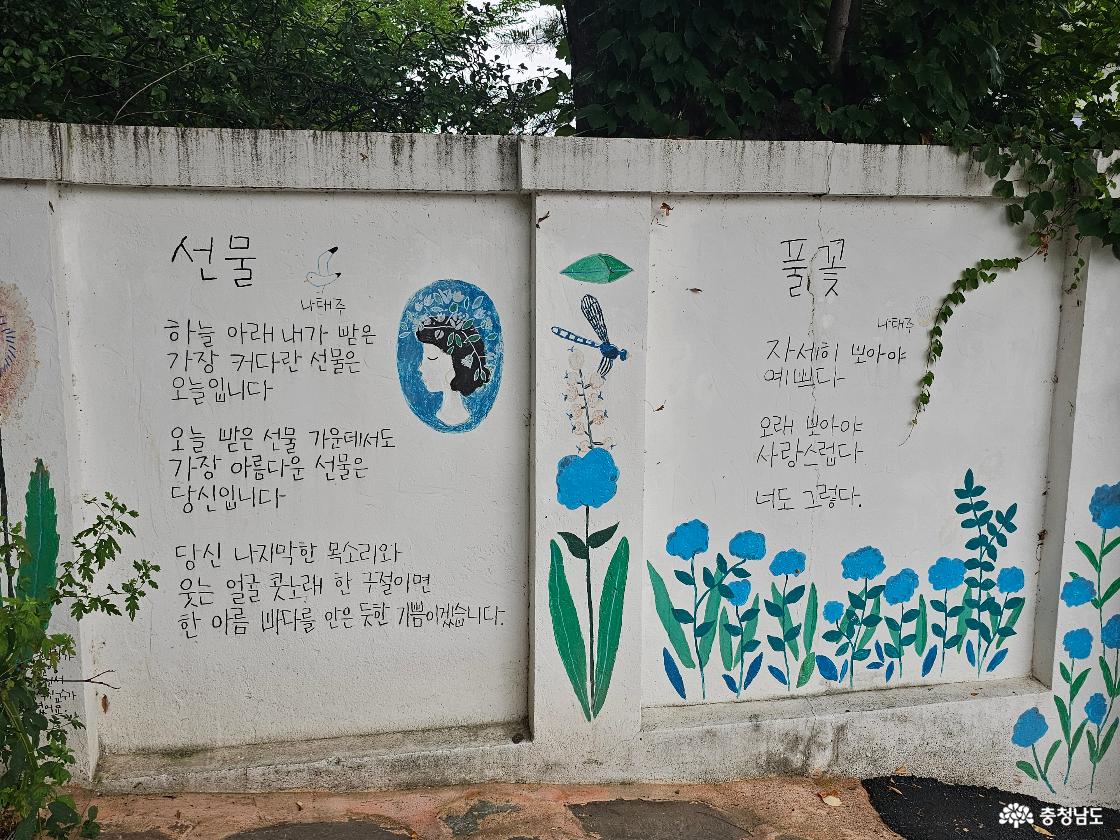 나태주 시인의 작품